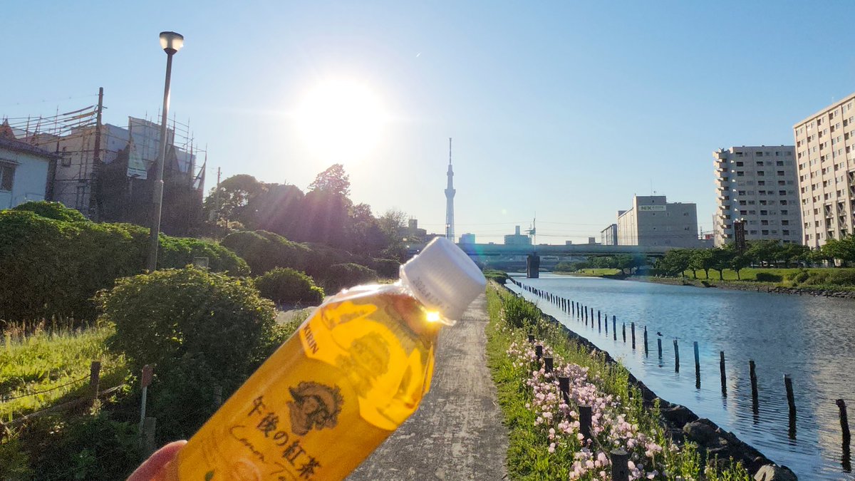 masarin358's tweet photo. CMロケ地行ってみた📺
昨年夏のCM  午後の紅茶 
「夏の影」篇
で山岡樹くんが撮影されていたロケ地に行ってきました🙌✨

綺麗だなぁ、どこだろうと思っていた場所、ここは都内だったんですね。(亀戸の旧中川そば)

夕暮れまでスズメと待機
#山岡樹 さん
#午後の紅茶CMロケ地 https://t.co/66iG9PUGQH