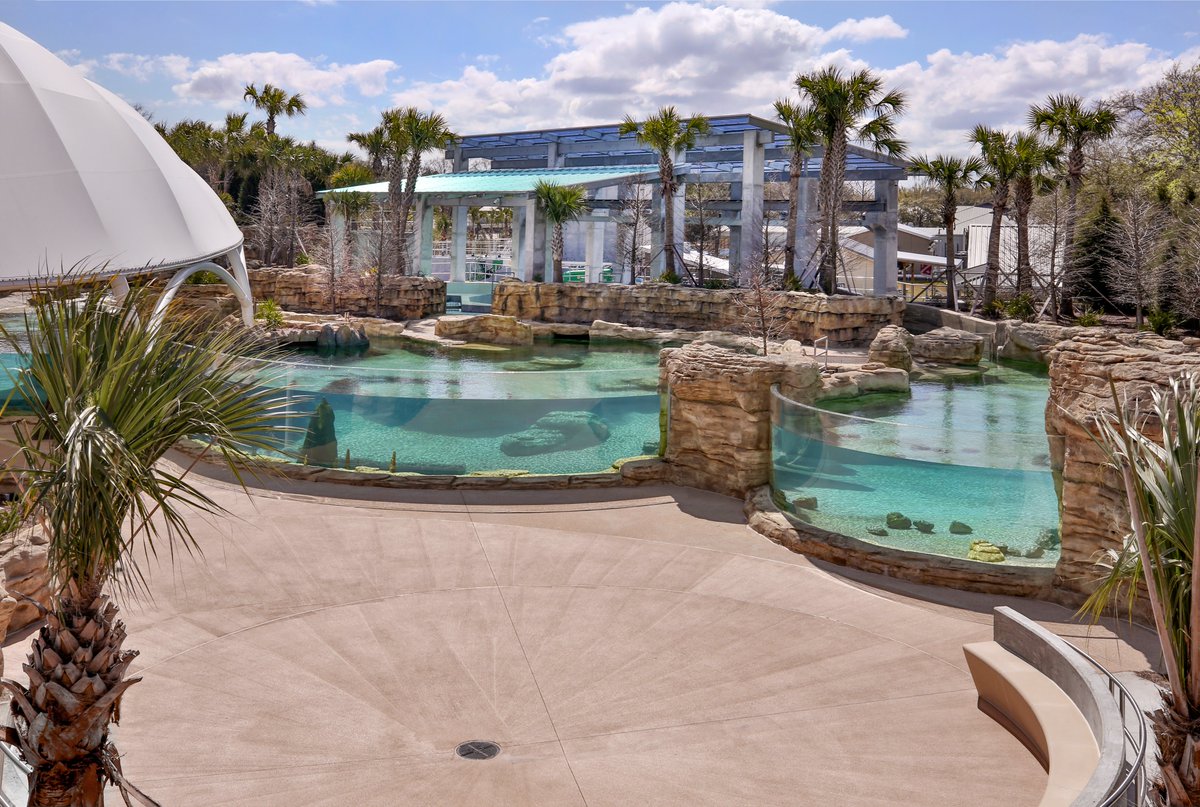 DanisBuilds's tweet photo. The @jacksonvillezoo Manatee River Habitat project has been honored with the NAIOP Northeast Florida Award for New Construction Project of the Year. Congratulations to our exceptional project team and partners on this achievement. 
#NAIOPAward #JacksonvilleZoo #DanisBuilds https://t.co/8UFzcBqzxA