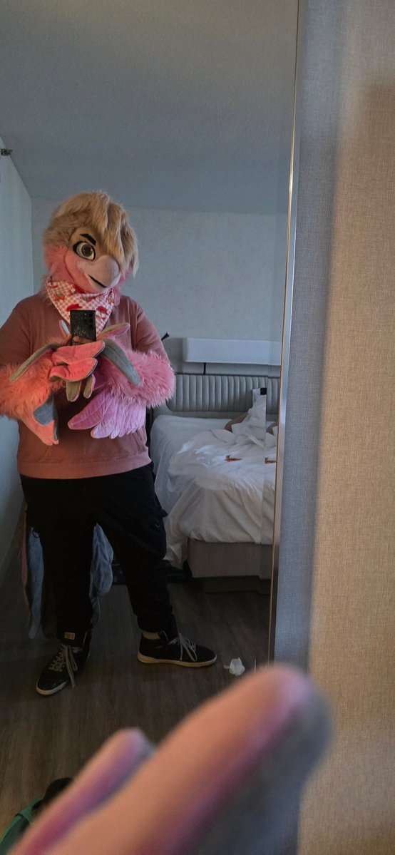 Stardust 🔜 AC, MFF tweet media
