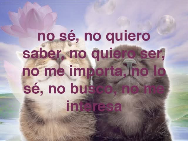 Ojos color sol (@ojoscol0rsol) on Twitter photo 