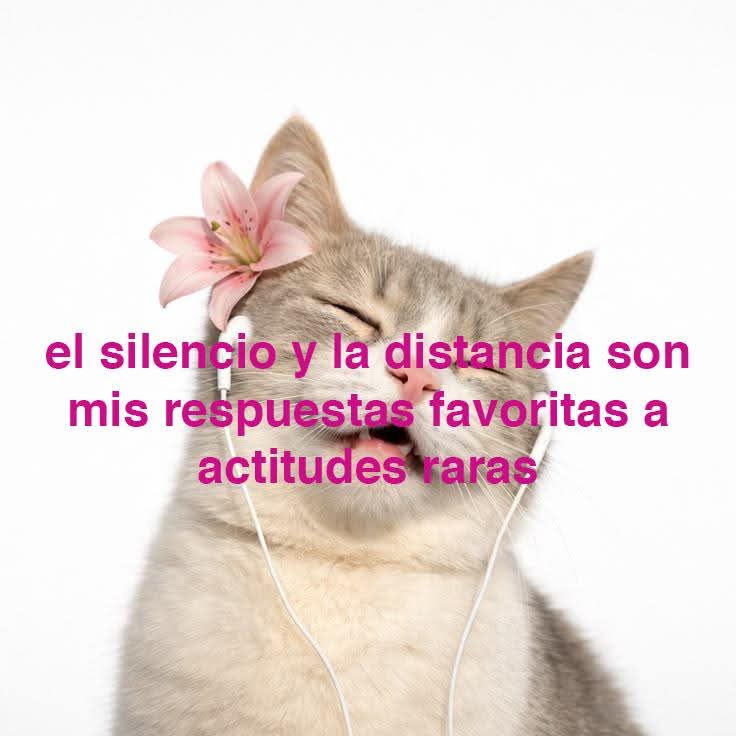 Ojos color sol (@ojoscol0rsol) on Twitter photo 