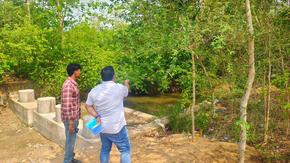 Collector Boudh tweet media