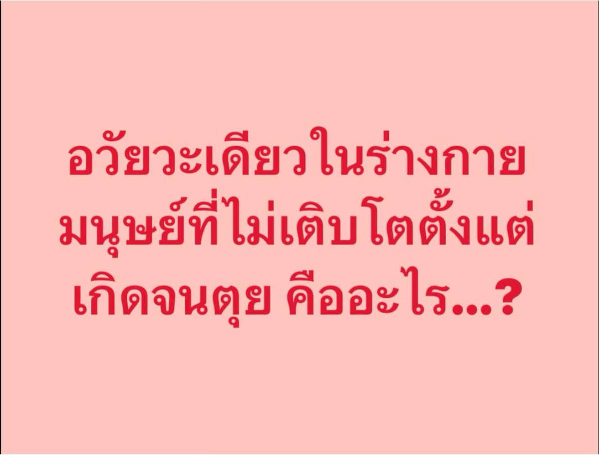 KM tweet media