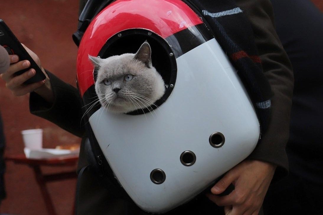 nesrinztrk34's tweet photo. @akillandik https://t.co/taNHe87jDt