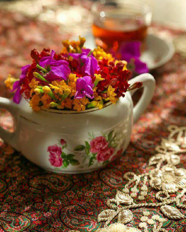 معصومه شونم tweet media