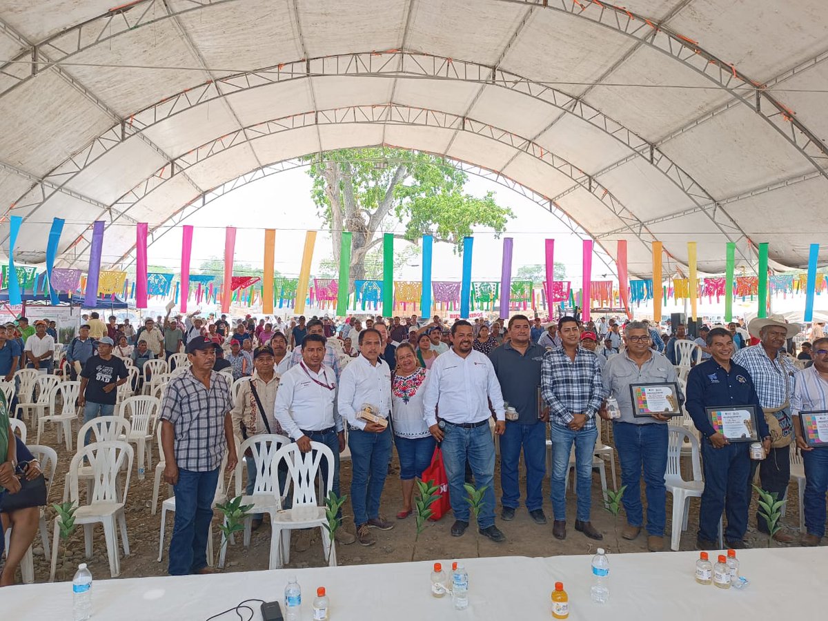 Agricultura Veracruz tweet media