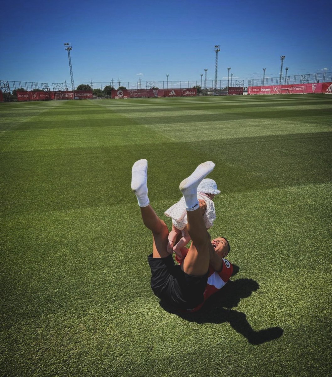 Alexis Hive tweet media
