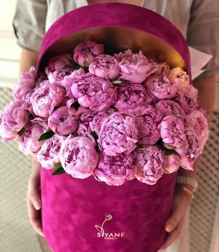 TheBeauty001's tweet photo. https://t.co/37e5J9DiWg