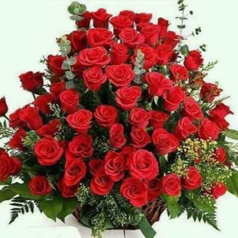 ModelFever's tweet photo. @DominiqLaya @Sophieholeman Happy BIRTHDAY TO YOU from Kalle :-)  Germany https://t.co/hsB4vHwDDB