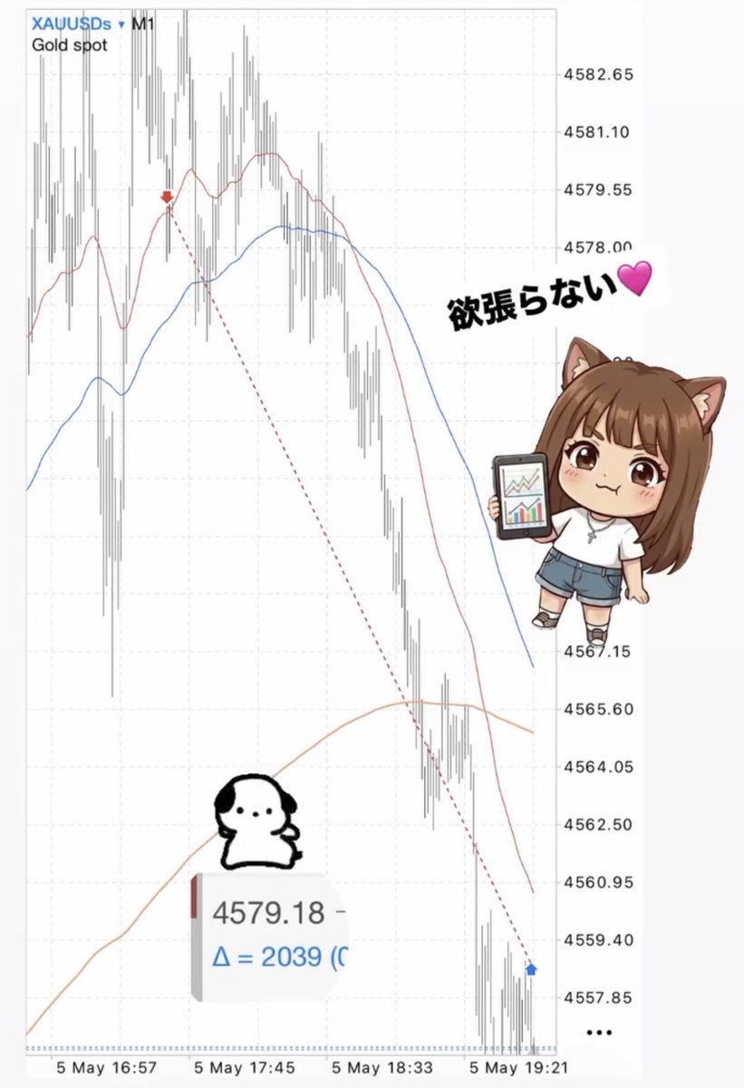 主婦トレーダー🇺🇸さおりん tweet media