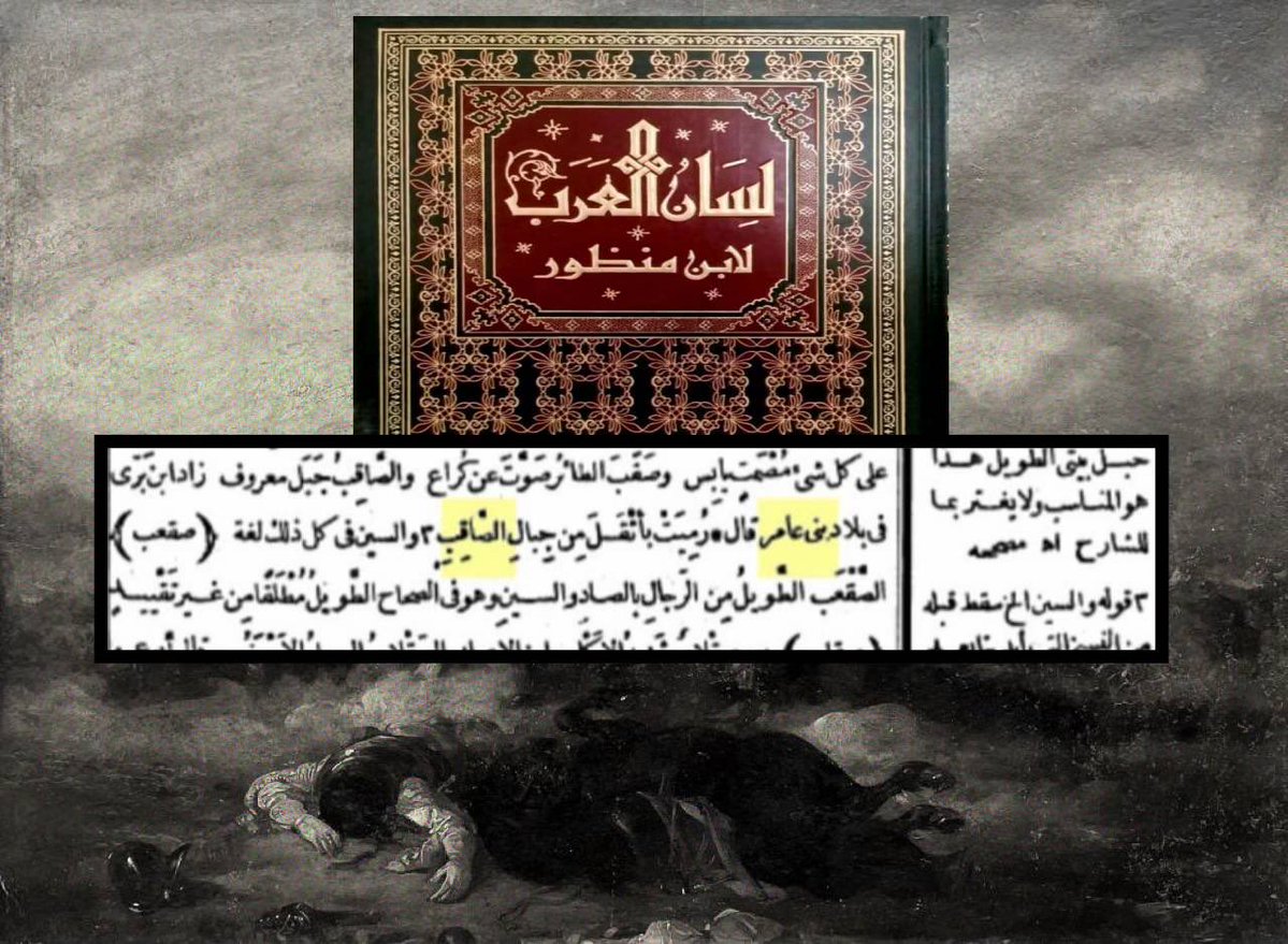 السبيعي 🇸🇦 tweet media