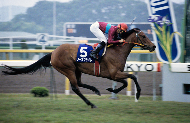 UMA_knowledge's tweet photo. 「歴代最強の"マイラー"」と言えばどの競走馬を思い浮かべますか？😎 https://t.co/g6M4lOqXc1