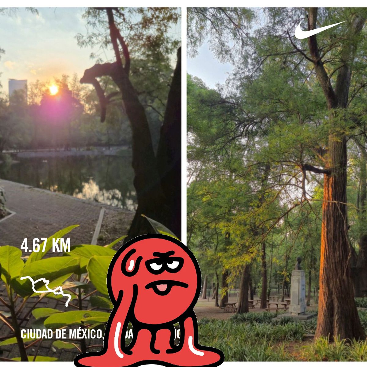 efrencasas's tweet image. #TuesdayMotivation #running #nikerunning #yoelegicorrer #fitover61 #corrersana #RunDay #Chapultepec #CDMX #Laufen #esdecorredores