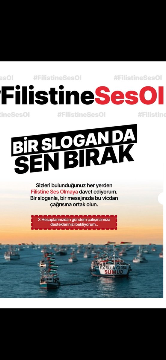 Ayseli Dogan tweet media