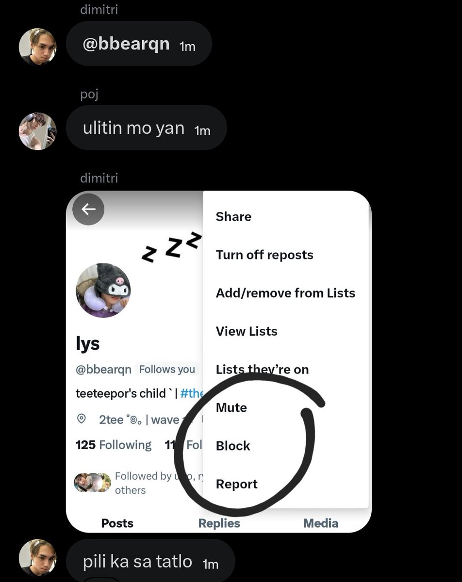 lys tweet media