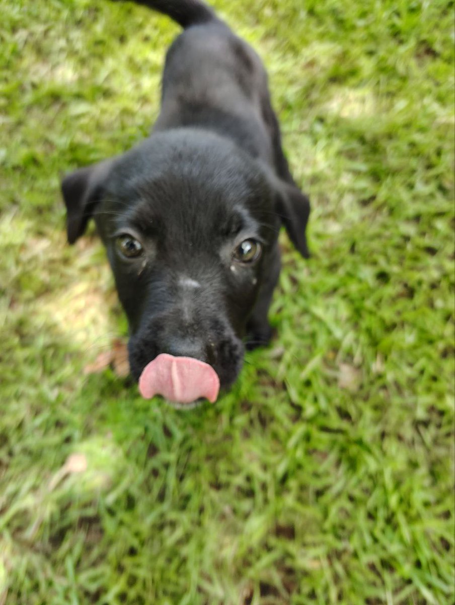 Loki tweet media