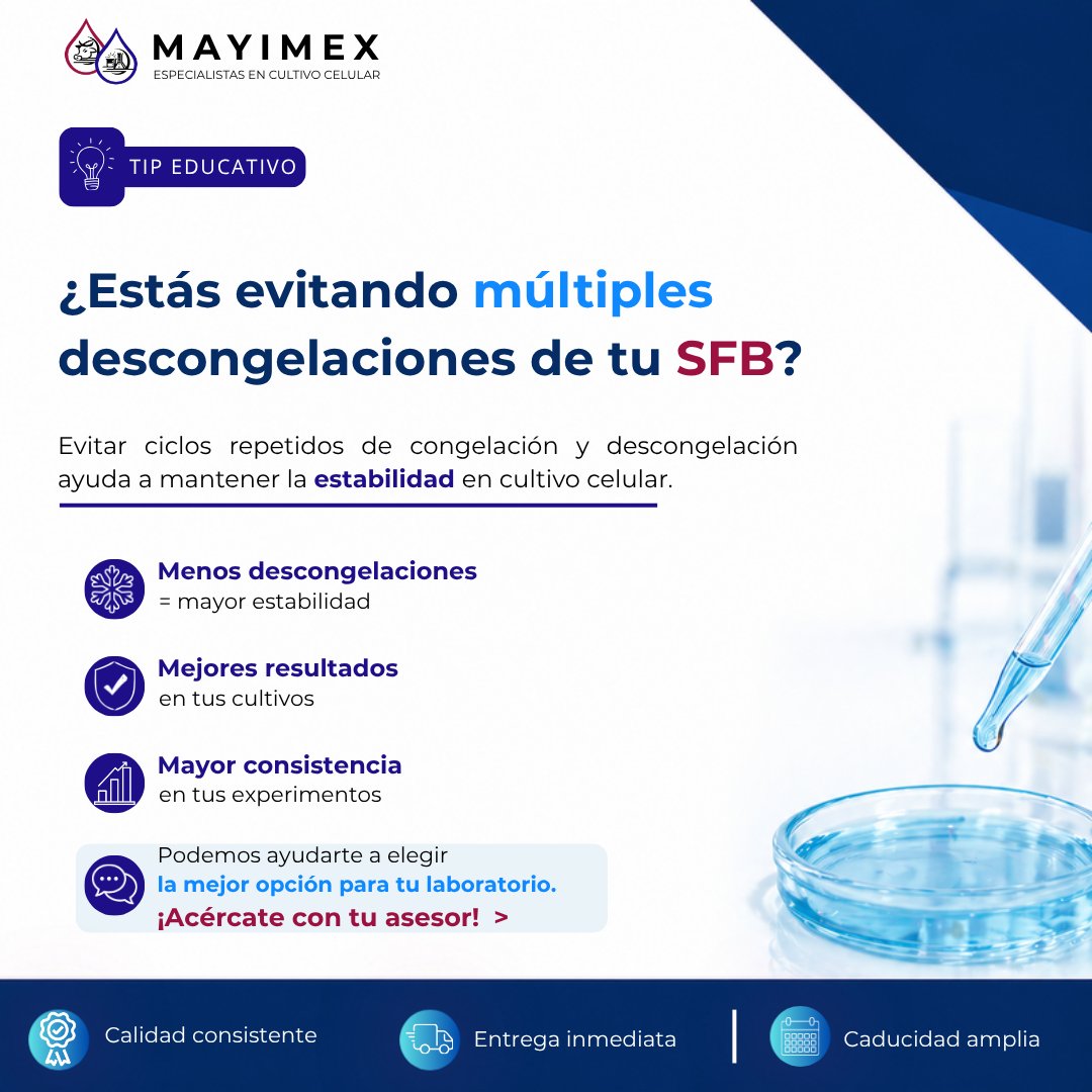 MAYIMEX_MEXICO's tweet photo. 🔬 Menos descongelaciones = mayor estabilidad

Mejora tus resultados en cultivo celular

#SFB #CultivoCelular https://t.co/cLK1tVLkzP