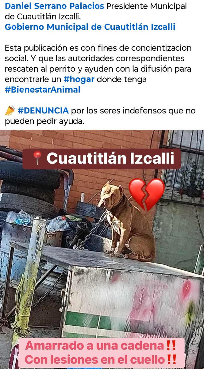 ABRYLHONEY's tweet photo. @LicAnimalista @Mr_Civico @propaem_sma @Edomex @FundacionToby @Animales_CDMX https://t.co/57JSzfNQHl