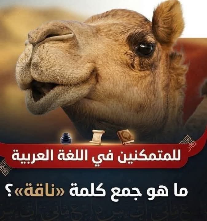 علي إسماعيل tweet media