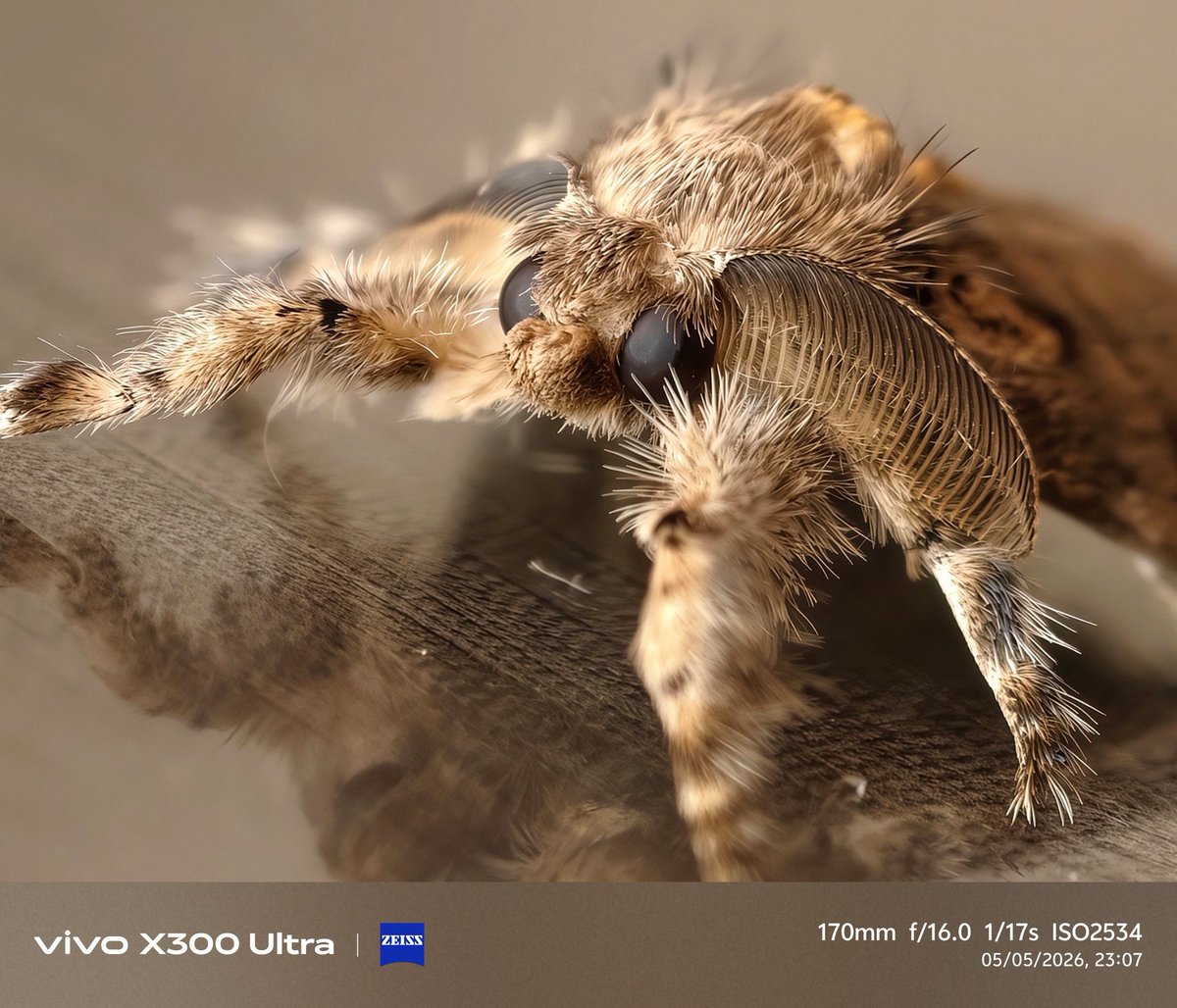 🤳Shot on Vivo X300 Ultra 
💬Macros on this device are INSANE🫪
⚠️This is cropped,by the way.

#VIVOX300ULTRA