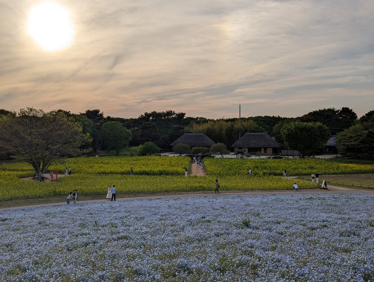 Hitachi Seaside Park