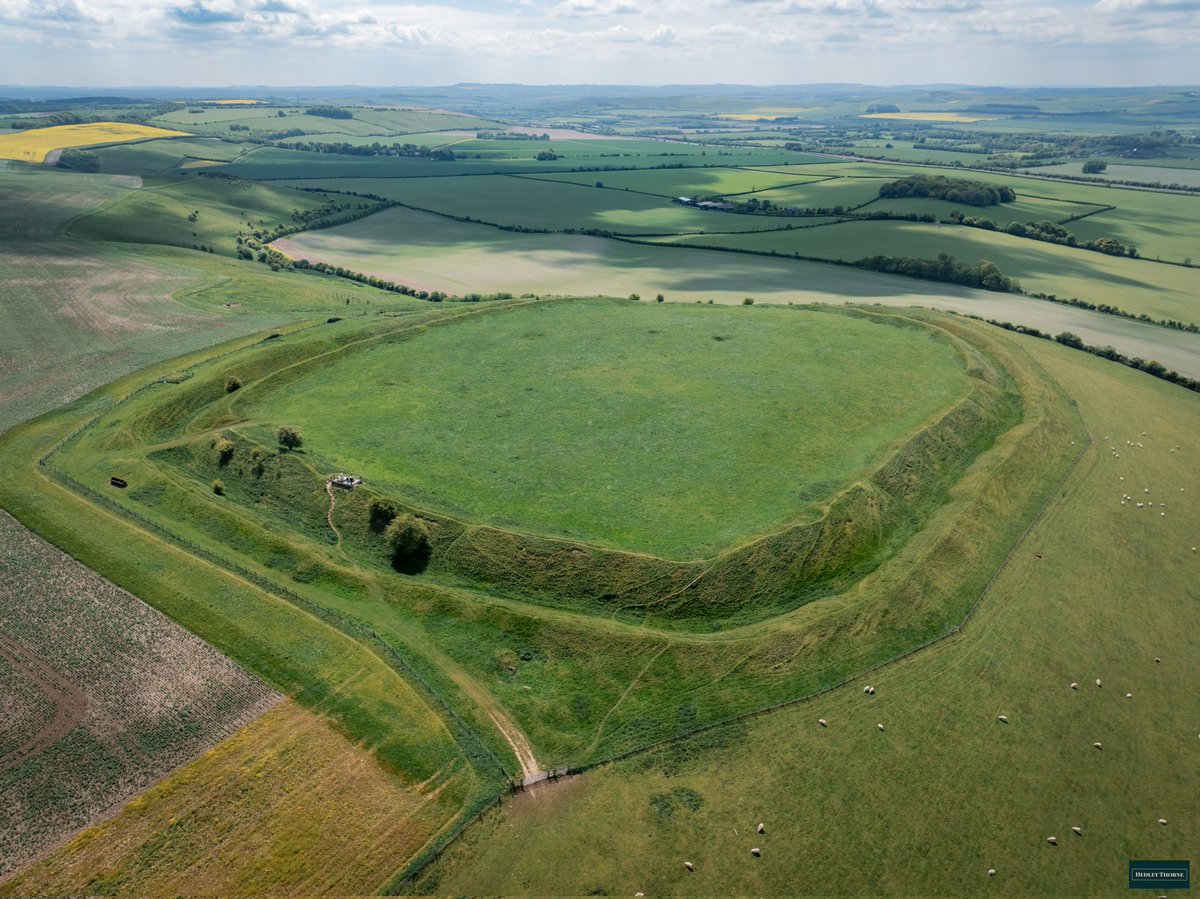 Liddington Castle univalate hillfort, from today's walk in Wiltshire. The eastern entrance used to be lined with sarsen stones/orthostats (think West Kennet or Wayland's Smithy), some are lying on the ground still.