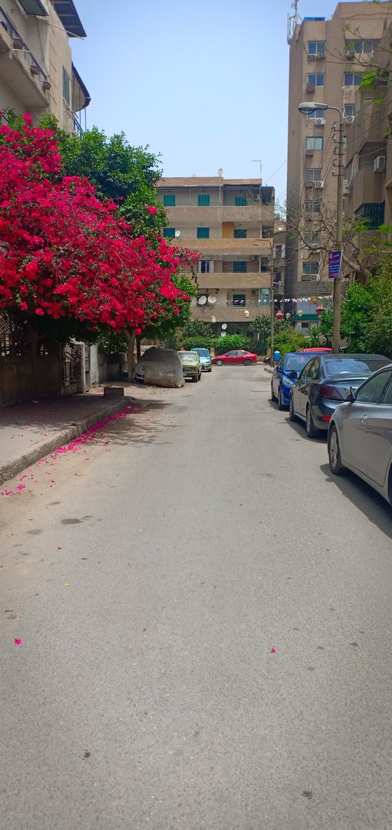 مصر الجديدة ❤️