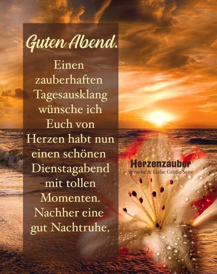 Wünsche euch meine Herzmenschen einen wunderschönen kuscheligen Abend. 🌟💫⭐️🛋️🎶🍷Und später eine gute Nacht. 🥰