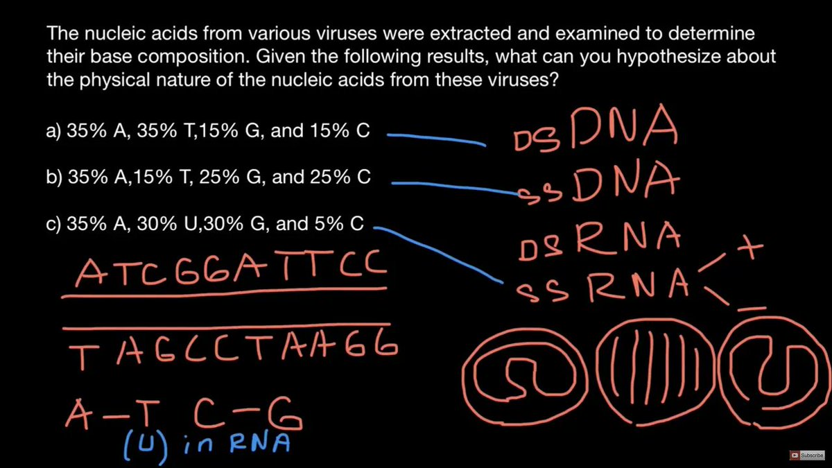geneticslesson's tweet photo. How to Find if Virus Genome RNA or DNA, Single or Double Stranded? https://t.co/Yep3QP9Tgz https://t.co/N7dVCCVrUc