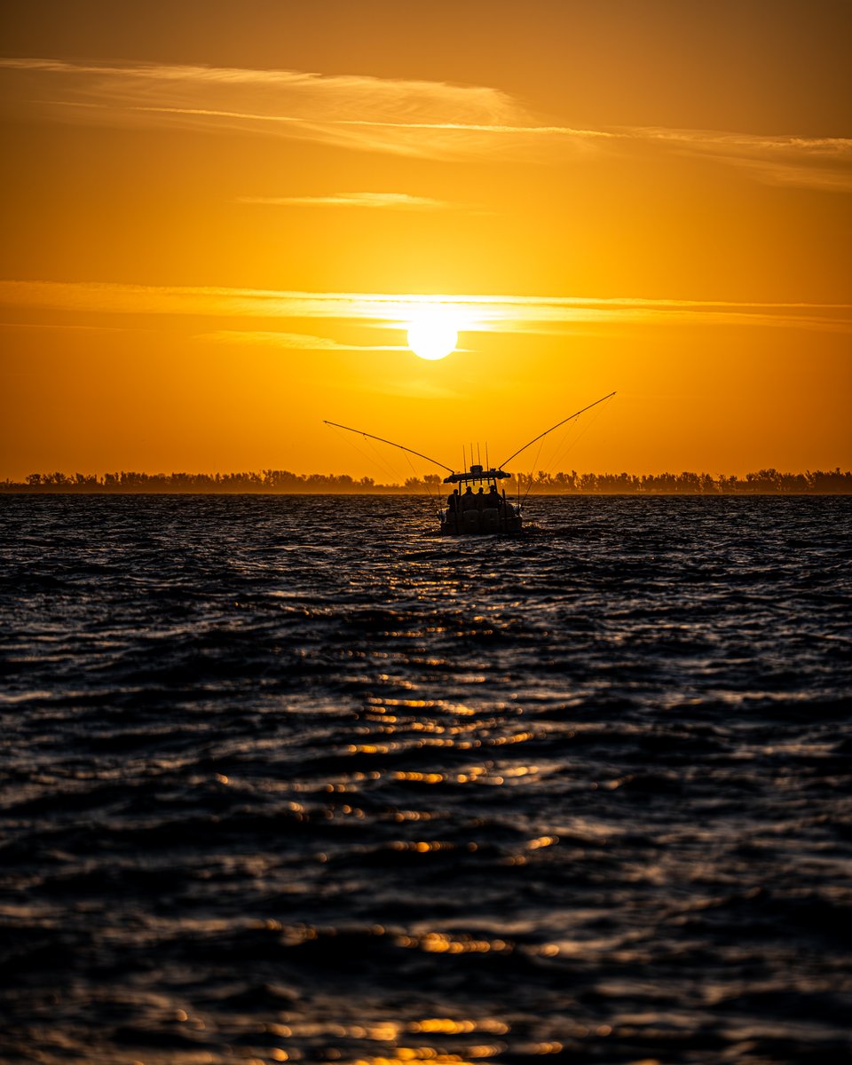 Grady-White Boats tweet media