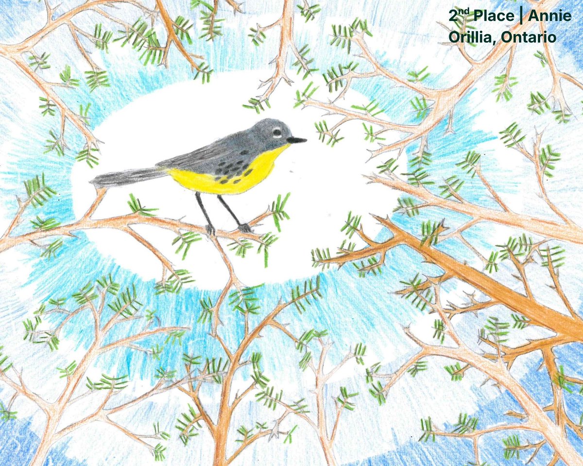 American Bird Conservancy tweet media