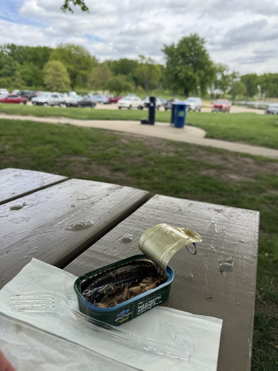 MidAmChaser's tweet photo. Lunch today

2.2mile walk followed by a can of sardines.

Don’t knock it til you’ve tried it. 170 cals, 18g protein, loaded with omega-3s. I’ll feel like a million bucks after a couple supplemental beef sticks and a lip pillow 😏 https://t.co/YFRqM7yVE4
