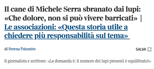 Alex Danzi tweet media
