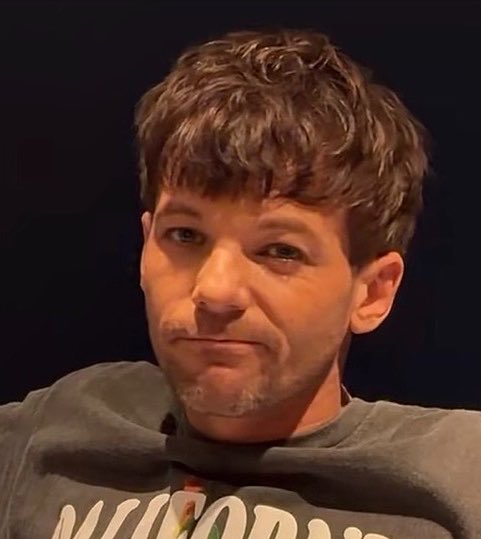 louis seeing someone wearing nike, adidas, and crocs, eating avocado, and listening to ‘what makes you beautiful’ on tiktok