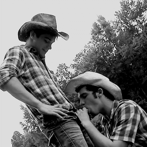 boy for contact tweet media