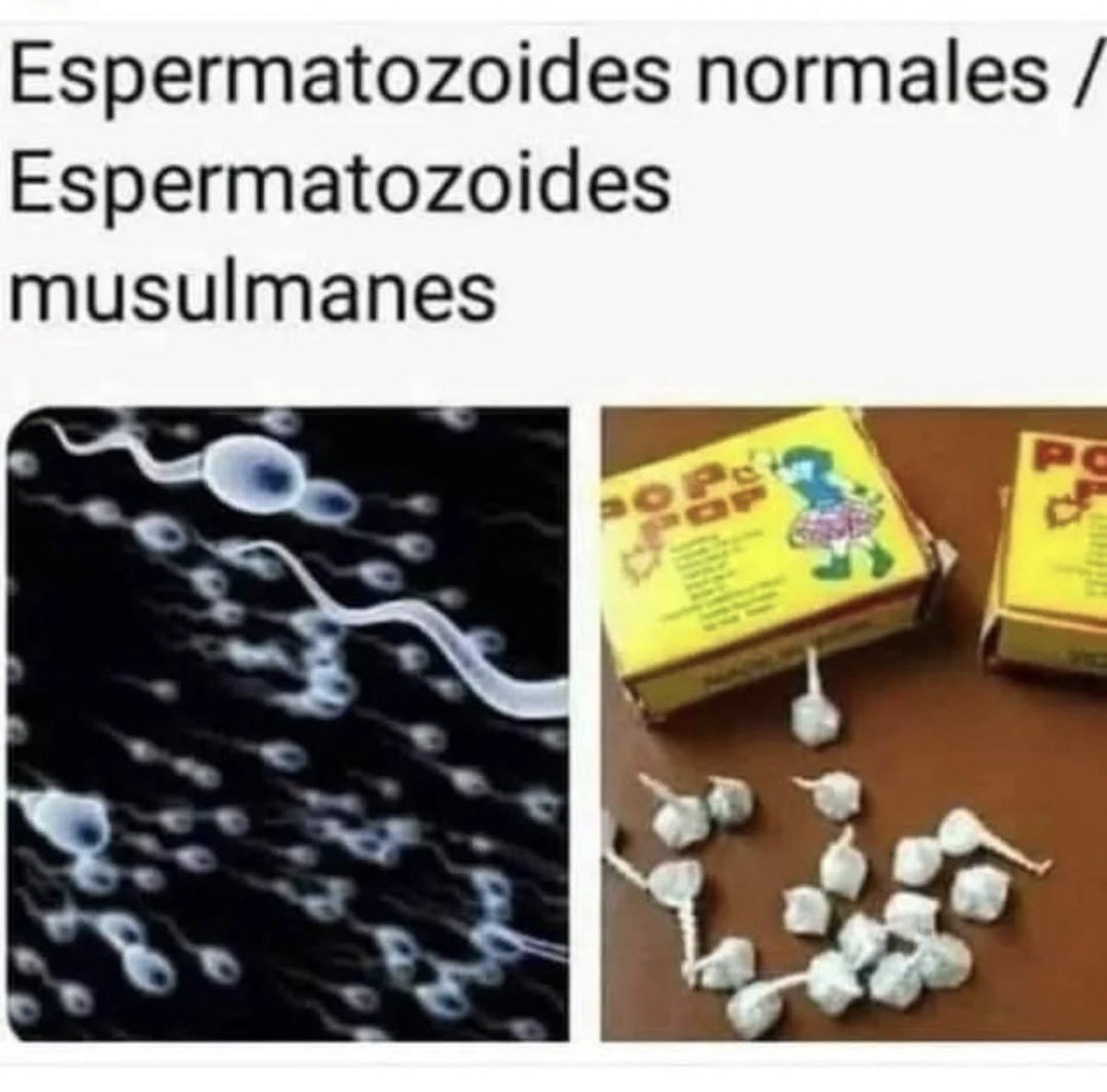 Mûriëlo tweet media