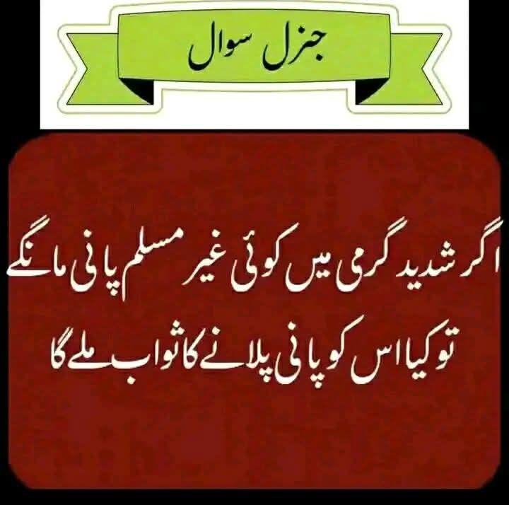 Maham Jutt 👑🌸 tweet media