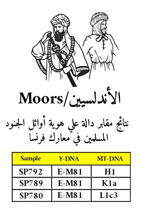 محمد الجبري السنبسي tweet media