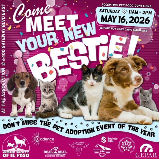 📷 Adoption Day at GEPAR! 📷
Join us on May 16th from 11:00 AM – 2:00 PM in the GEPAR Parking Lot for a heartwarming Adoption Day! The Community Investment Committee is partnering with the Humane Society of El Paso to help adorable cats and dogs find their forever homes.