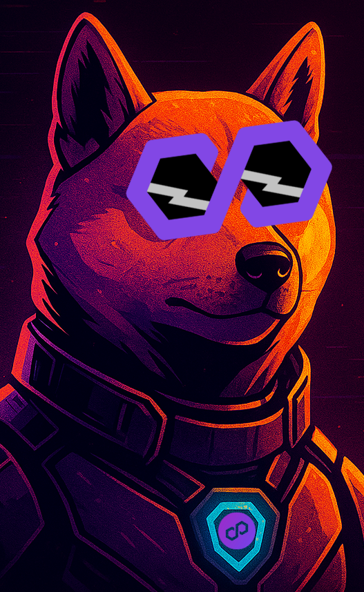 PolyDoge 🐶🚀 tweet media