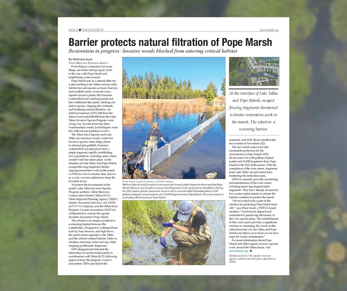Tahoe Boat Inspections tweet media