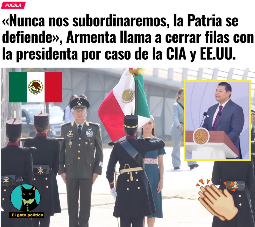 El gato político tweet media