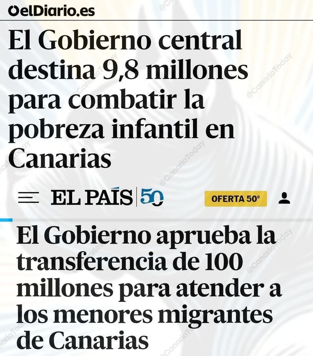  tweet media
