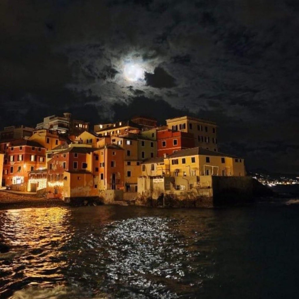 Alberto63Al's tweet photo. #IlMotoDelleCose
Come cambia le cose
la luce della luna…
#Fossati
#SalaLettura https://t.co/uYiobG3R0b