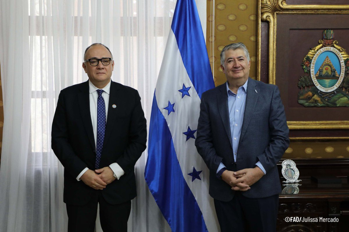 FAO HONDURAS tweet media