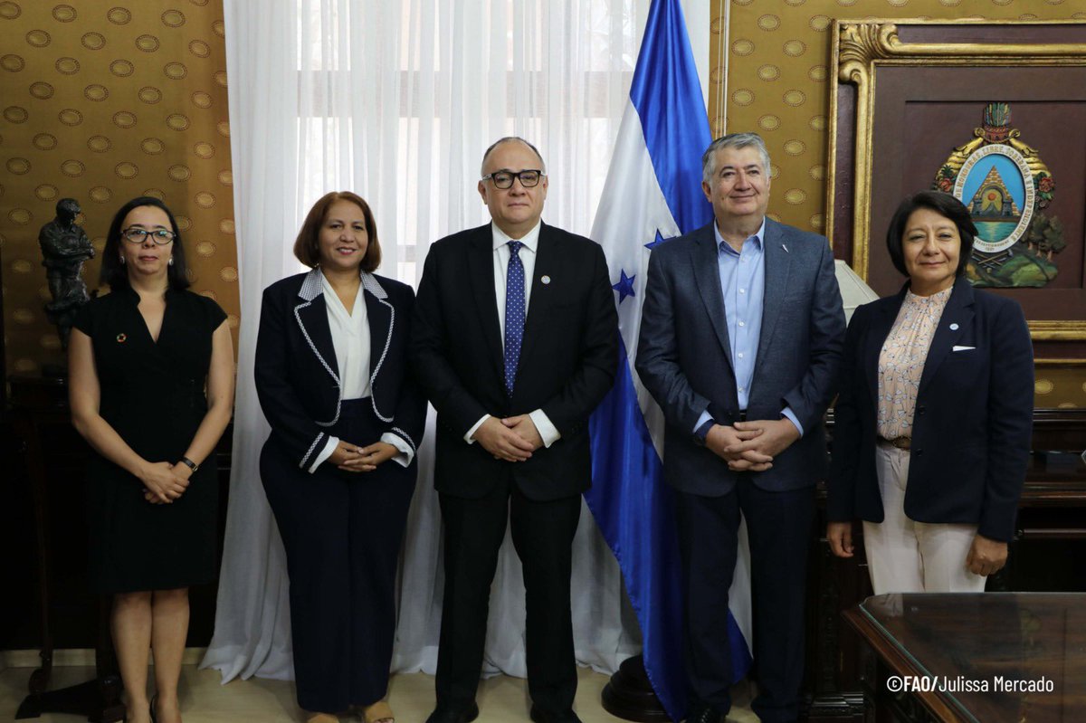 FAO HONDURAS tweet media