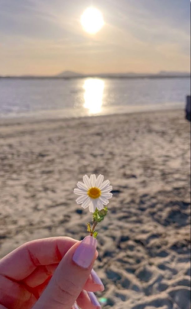 ❛✿ 𝓑𝓔𝓖𝓞 ✿❜ tweet media