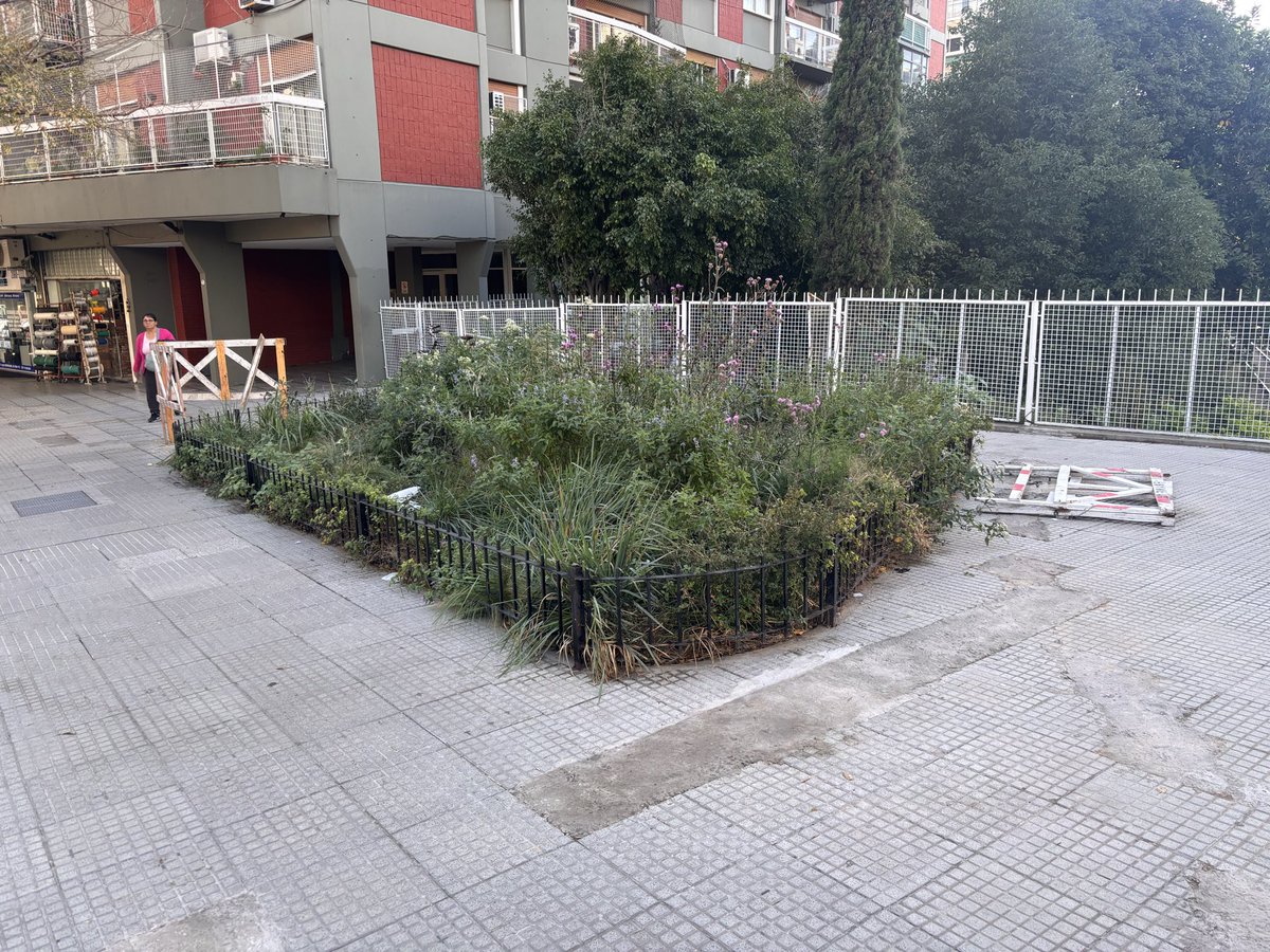 tincho_sanchez's tweet photo. @jorgemacri @gcba @BA147 @BACiudadVerde Rio de Janeiro 205, un dia mas de abandono y desidia!!! Cuanta falta de gestion!!! https://t.co/QqjqChuW38