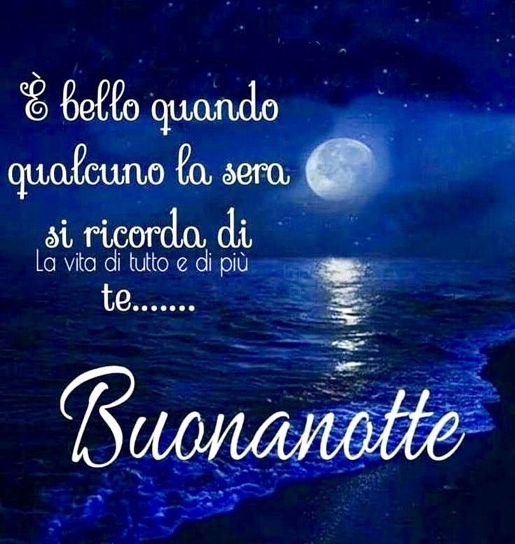 Nina Di Lascio tweet media