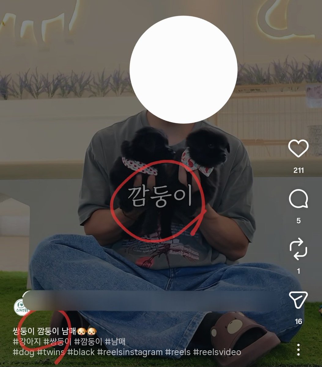 묘이 tweet media